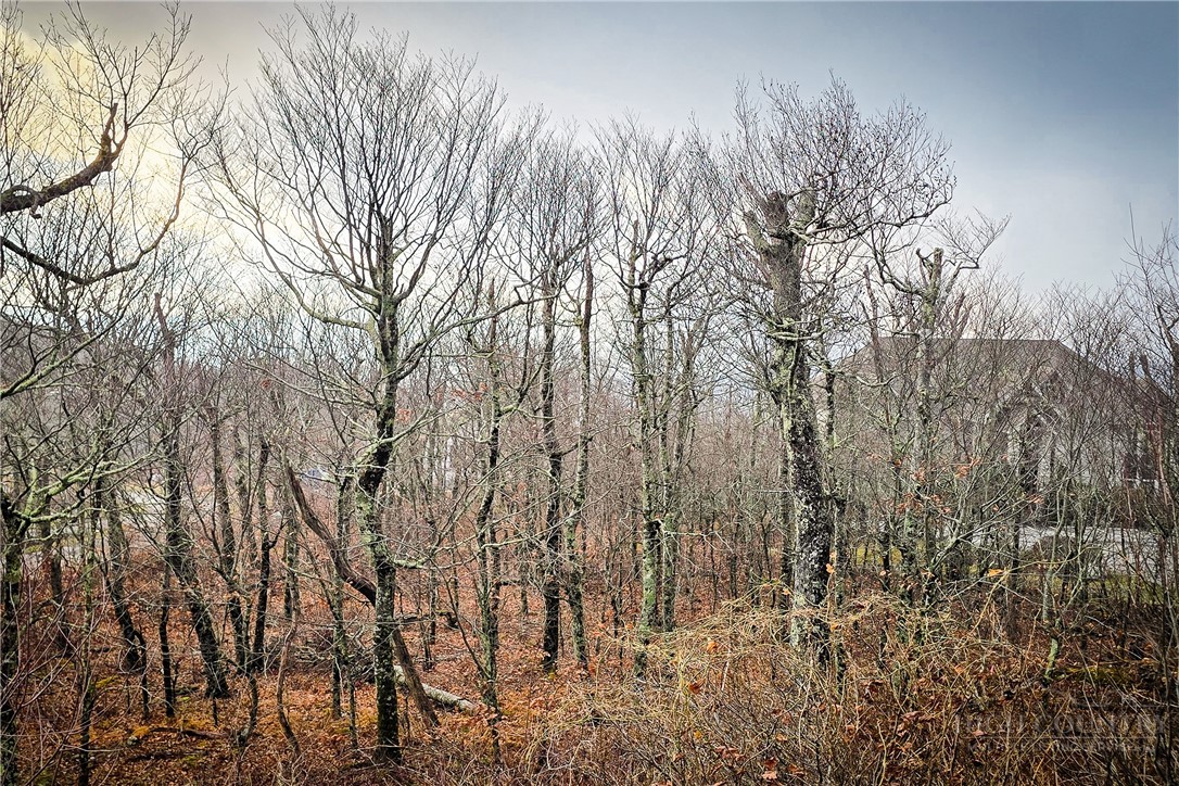 Lot 96 Cloud Spring Drive Property Photo 19
