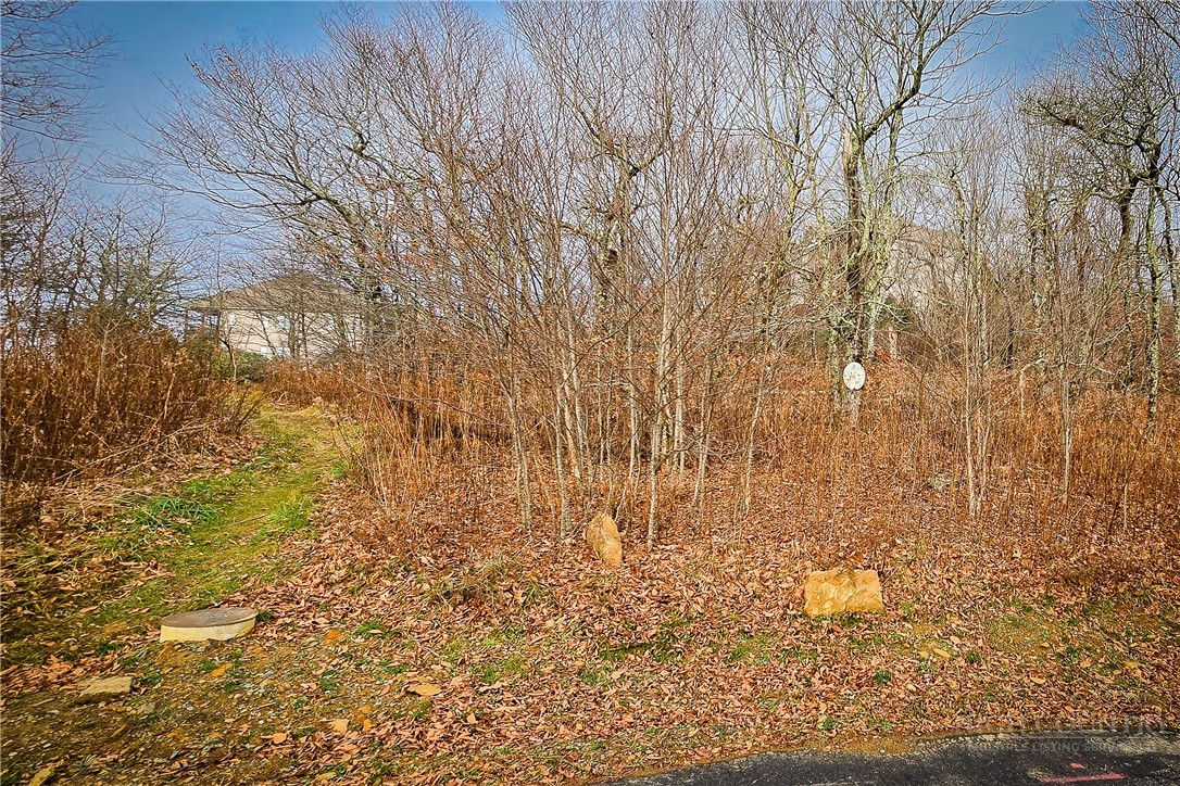 Lot 96 Cloud Spring Drive Property Photo 20