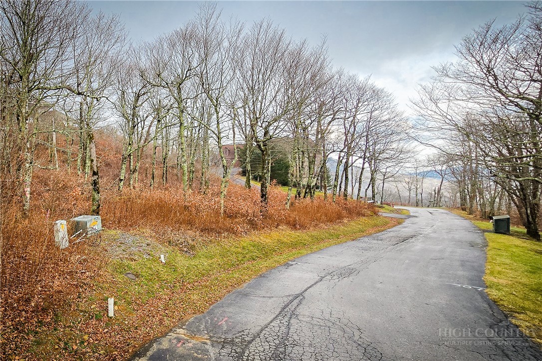 Lot 96 Cloud Spring Drive Property Photo 21