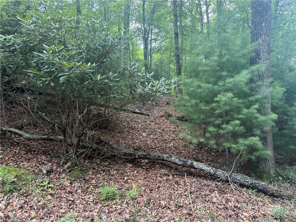 Lot 1 Skye Ridge Drive