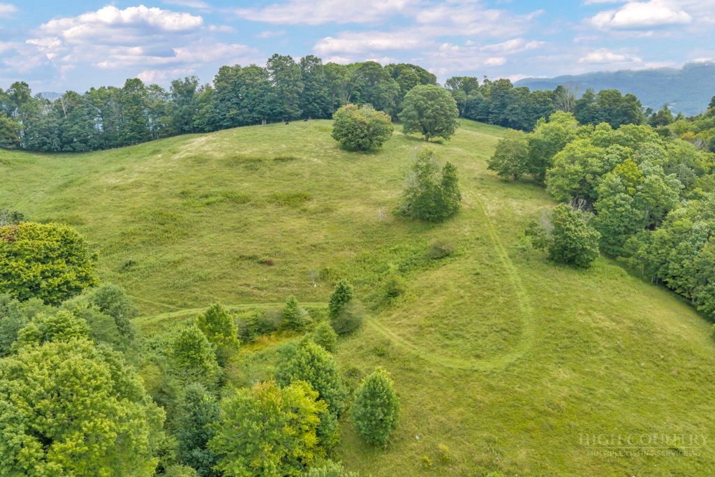Tbd Vaughn Potter Road Property Photo 1