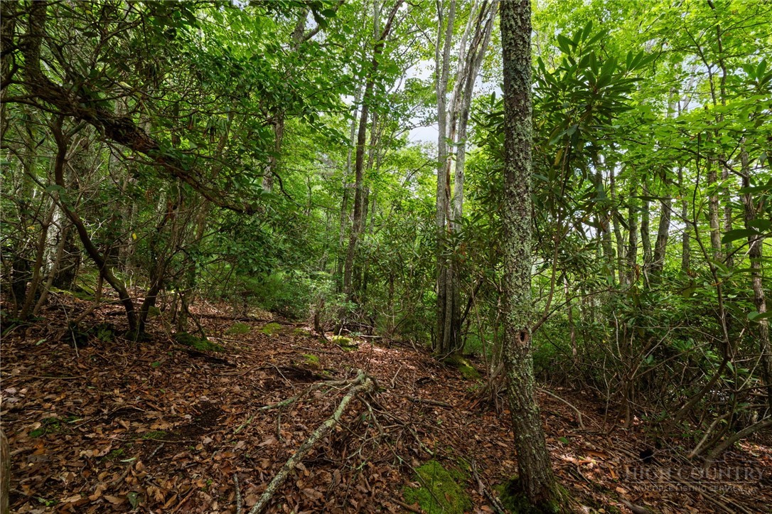 Lot 2 Heavenly Mountain Drive