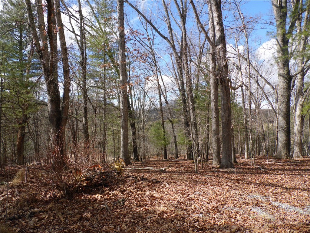 Tbd Happy Woods Drive Property Photo 1
