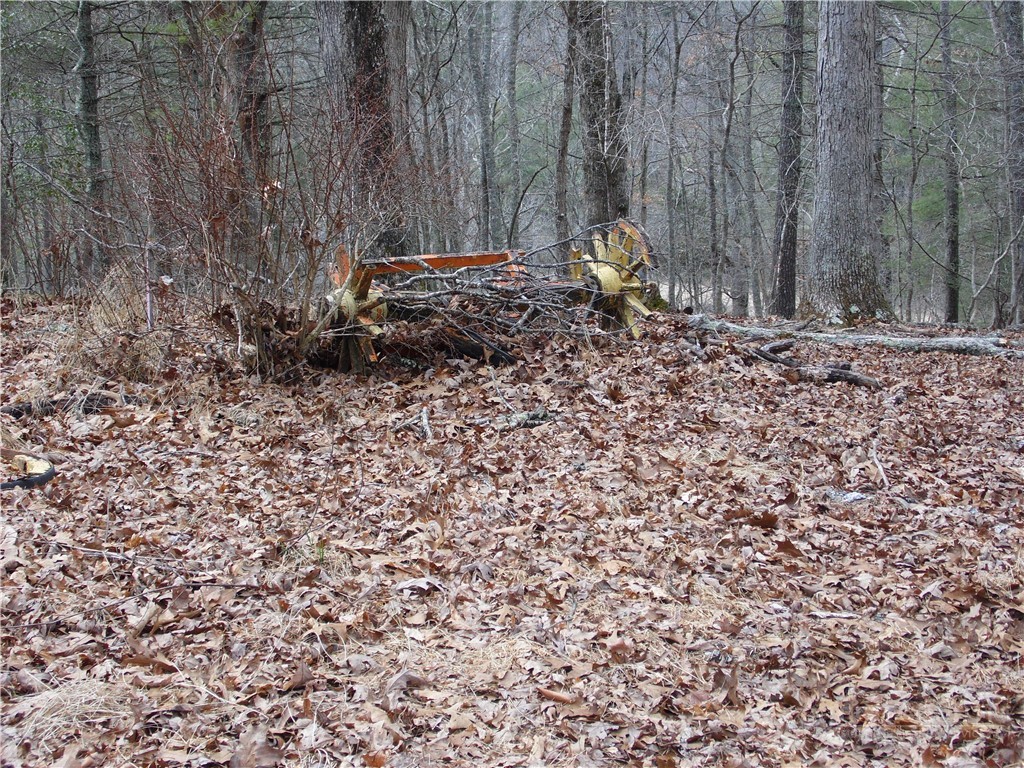 Tbd Happy Woods Drive Property Photo 3