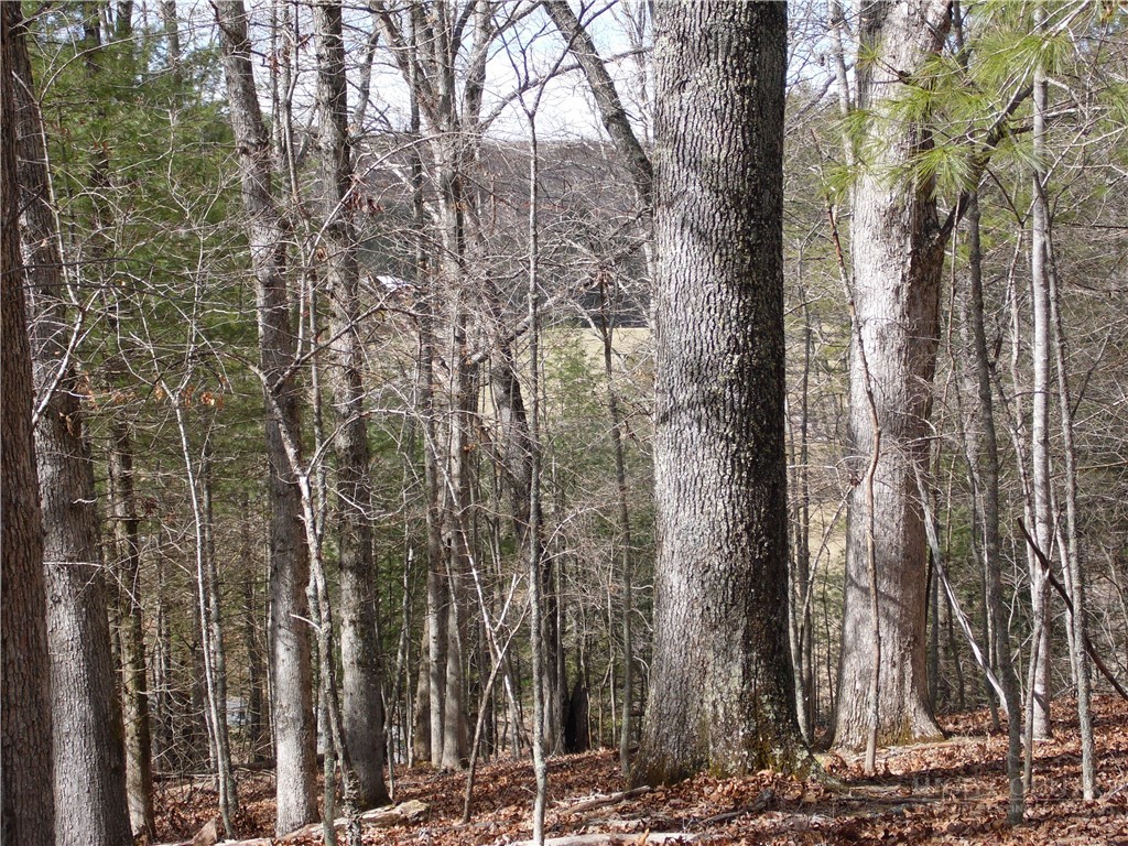 Tbd Happy Woods Drive Property Photo 4