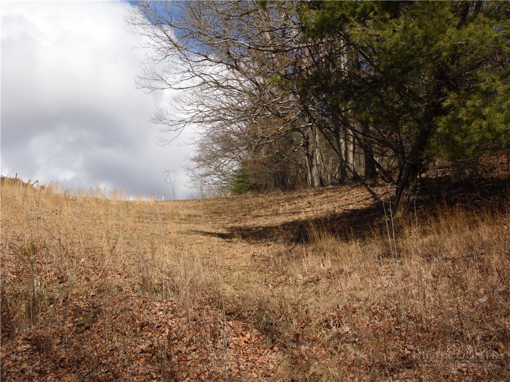 Tbd Happy Woods Drive Property Photo 5