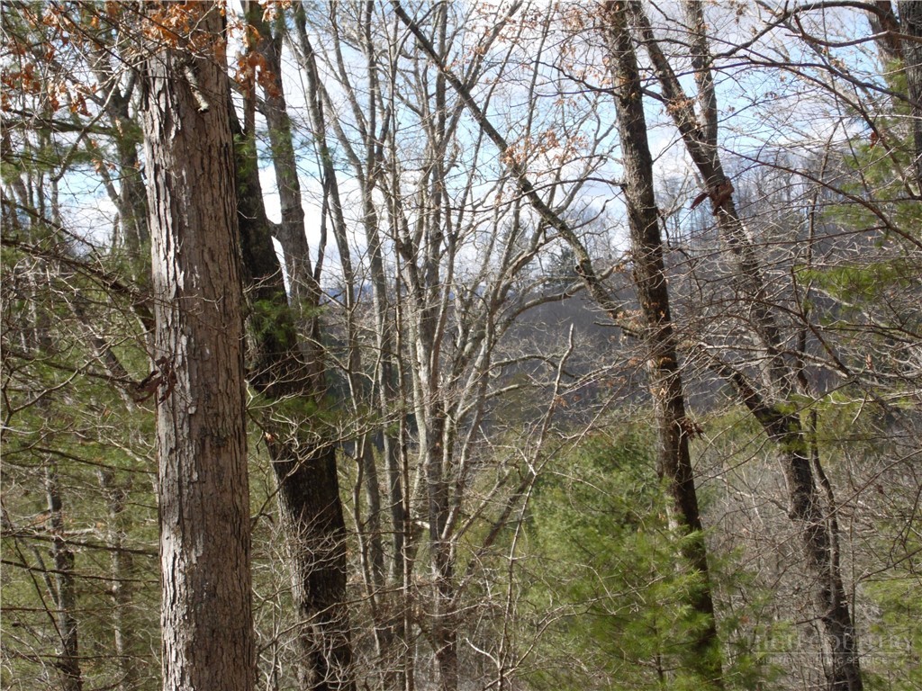 Tbd Happy Woods Drive Property Photo 6