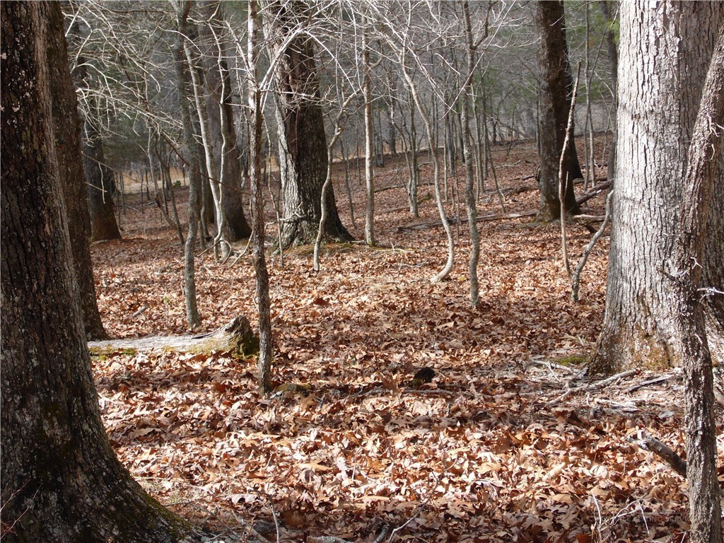 Tbd Happy Woods Drive Property Photo 7