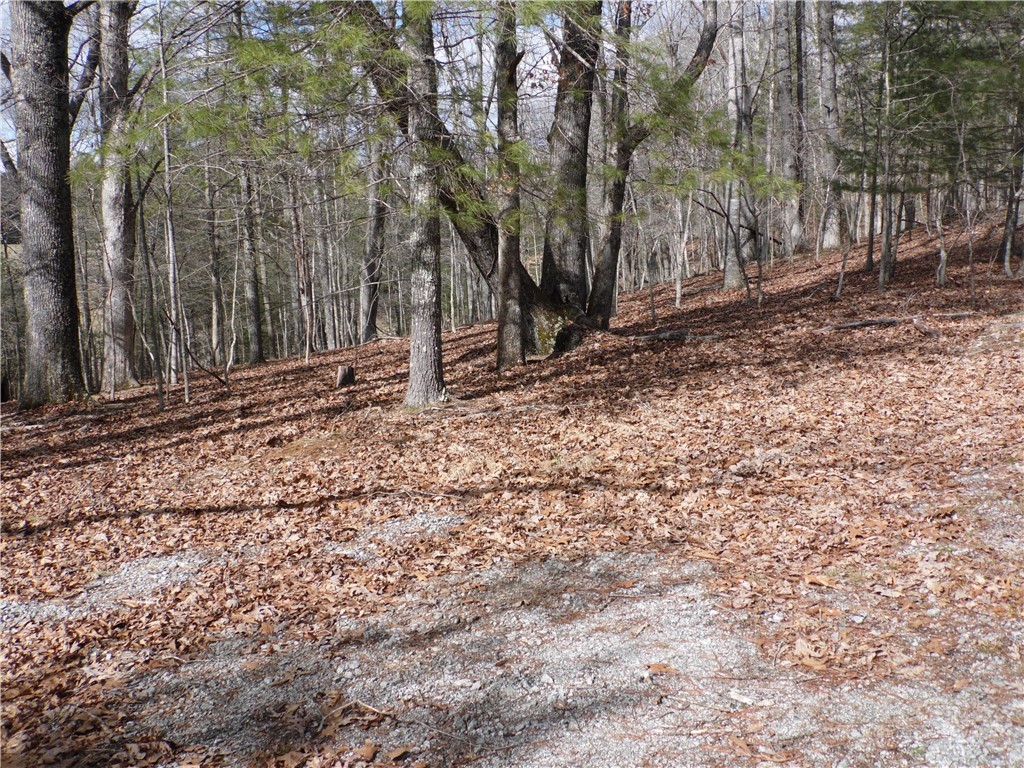 Tbd Happy Woods Drive Property Photo 8