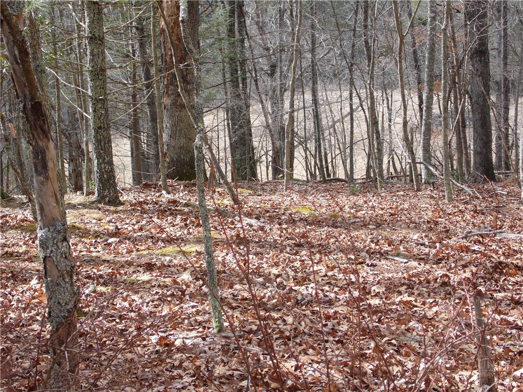 Tbd Happy Woods Drive Property Photo 9