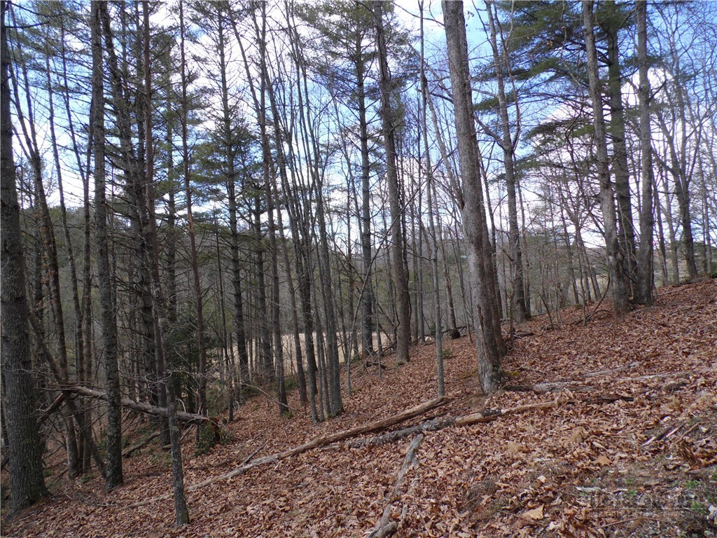 Tbd Happy Woods Drive Property Photo 10