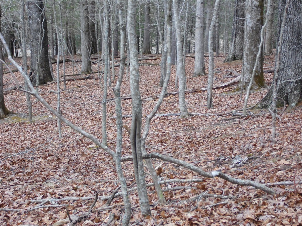 Tbd Happy Woods Drive Property Photo 13