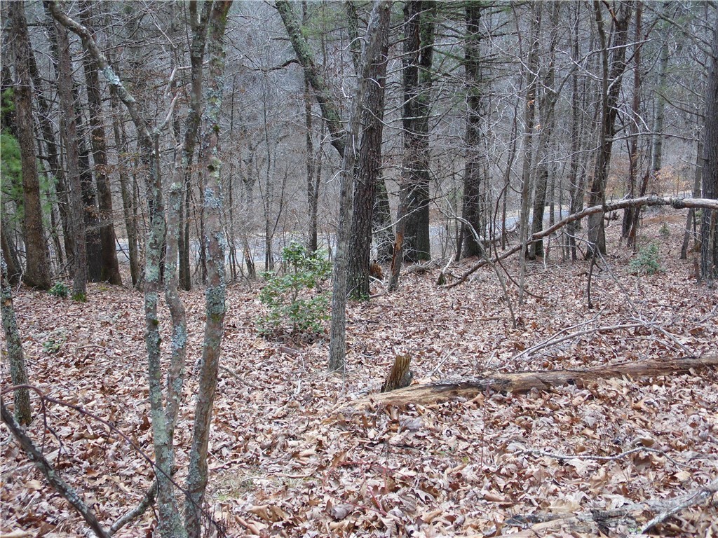 Tbd Happy Woods Drive Property Photo 14