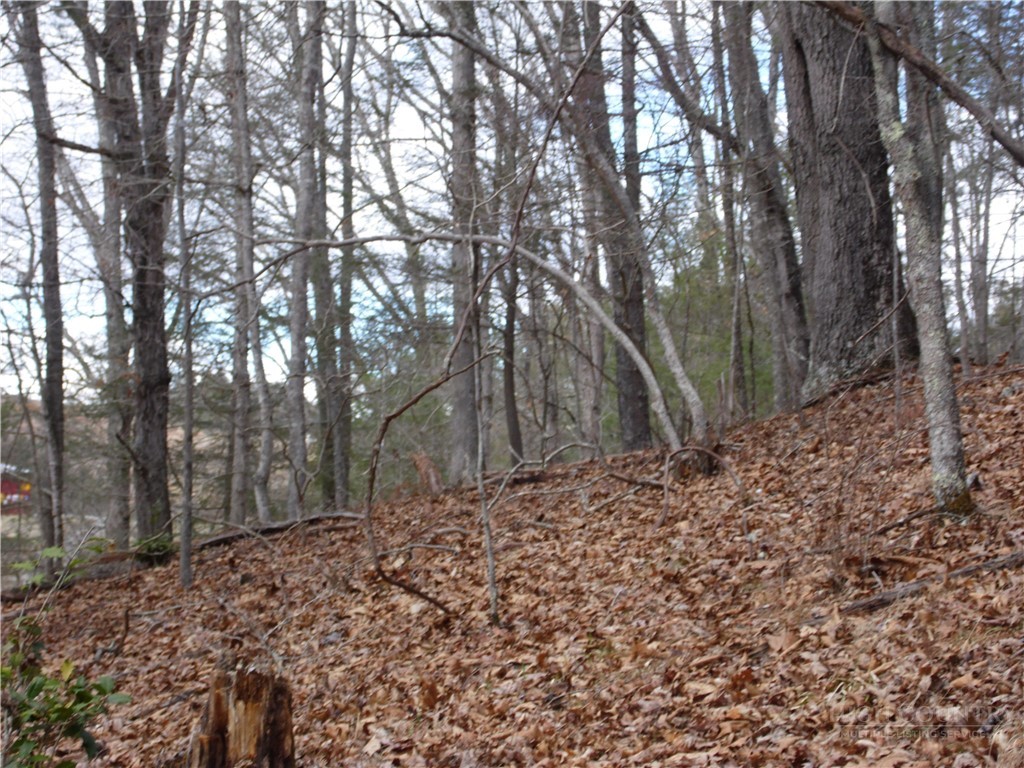 Tbd Happy Woods Drive Property Photo 15