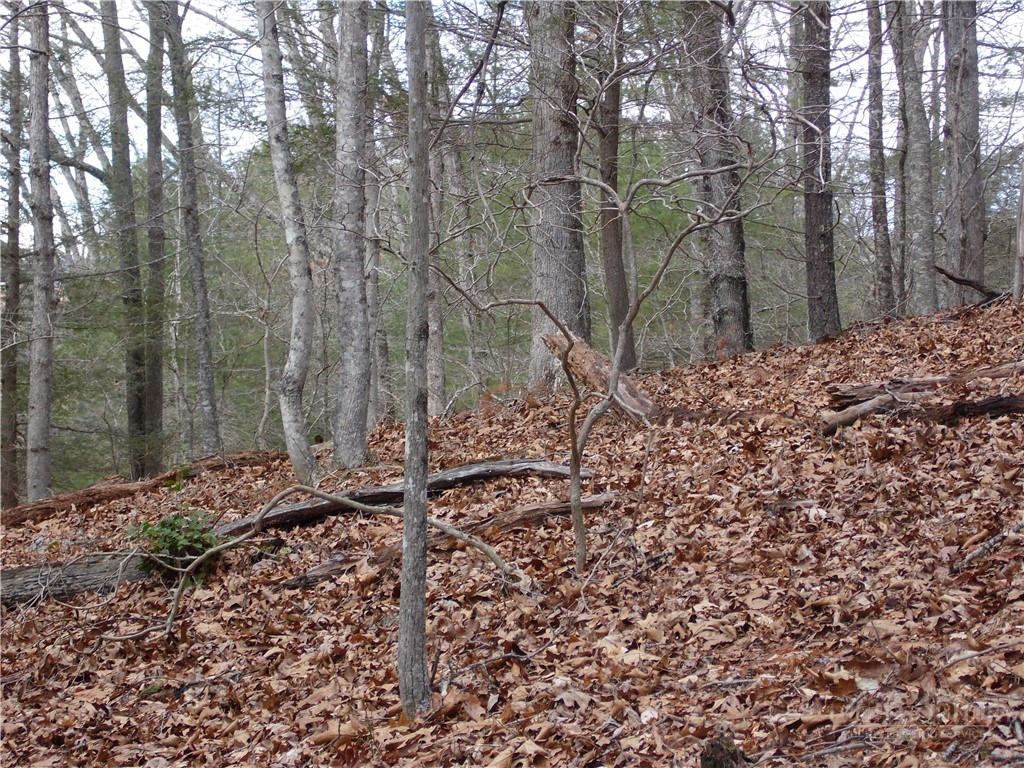 Tbd Happy Woods Drive Property Photo 16