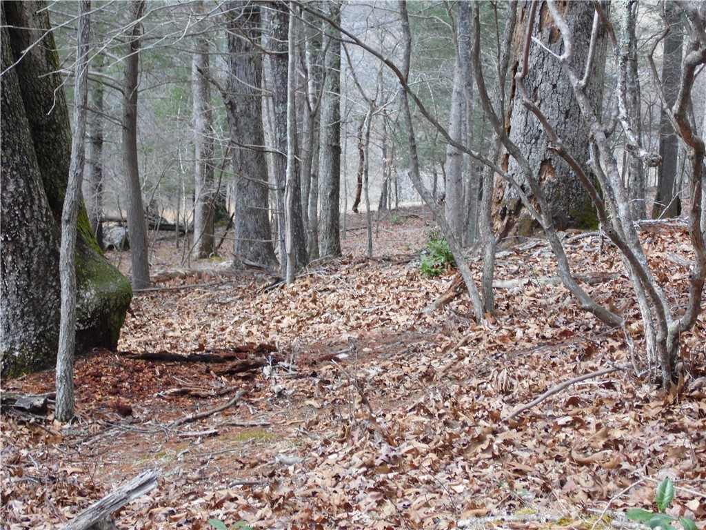 Tbd Happy Woods Drive Property Photo 17