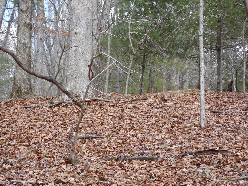 Tbd Happy Woods Drive Property Photo 18