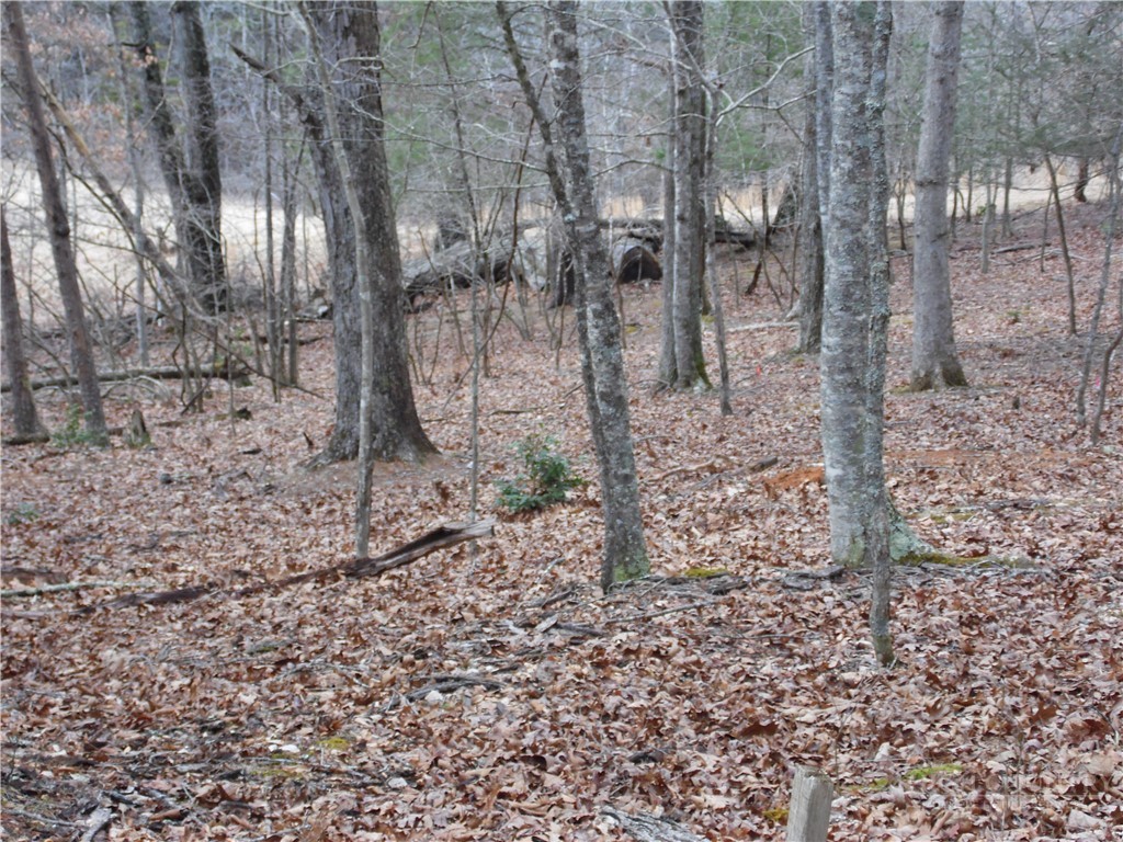 Tbd Happy Woods Drive Property Photo 19