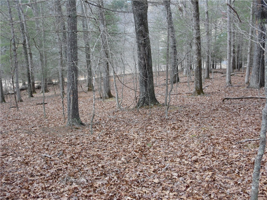 Tbd Happy Woods Drive Property Photo 20