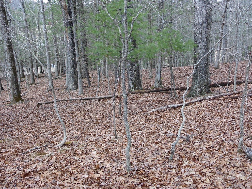 Tbd Happy Woods Drive Property Photo 21