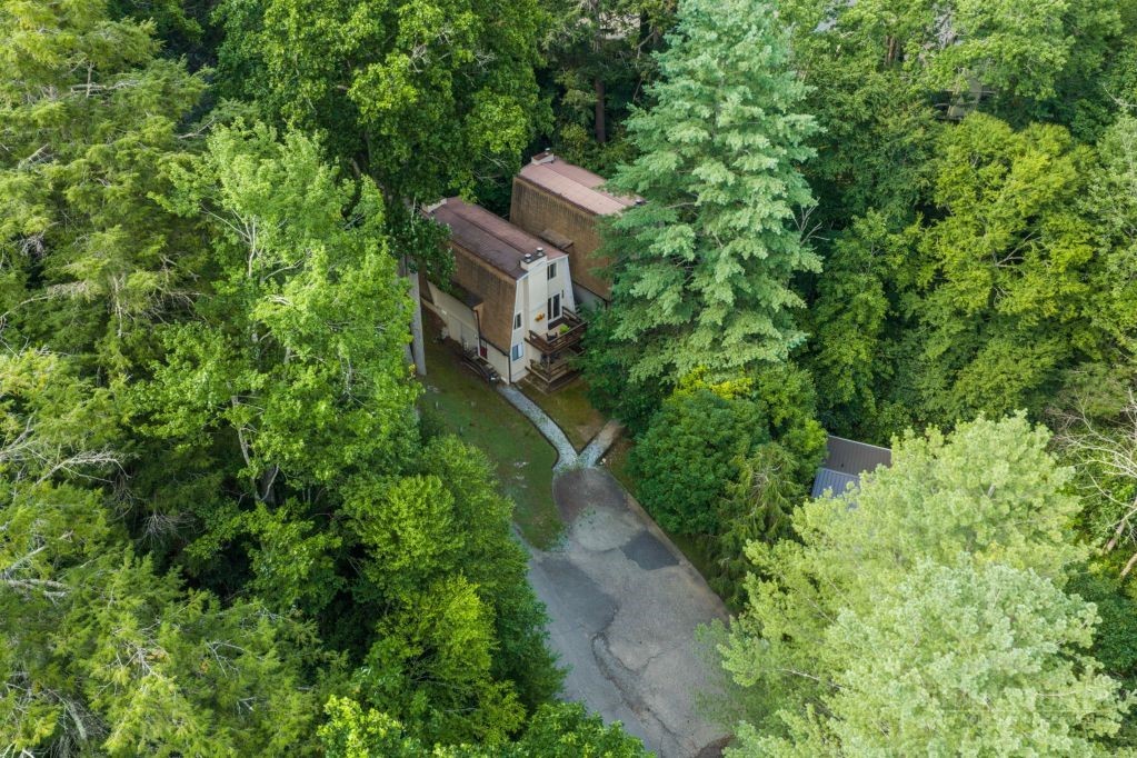 40 Hemlock Hills B Property Photo 18
