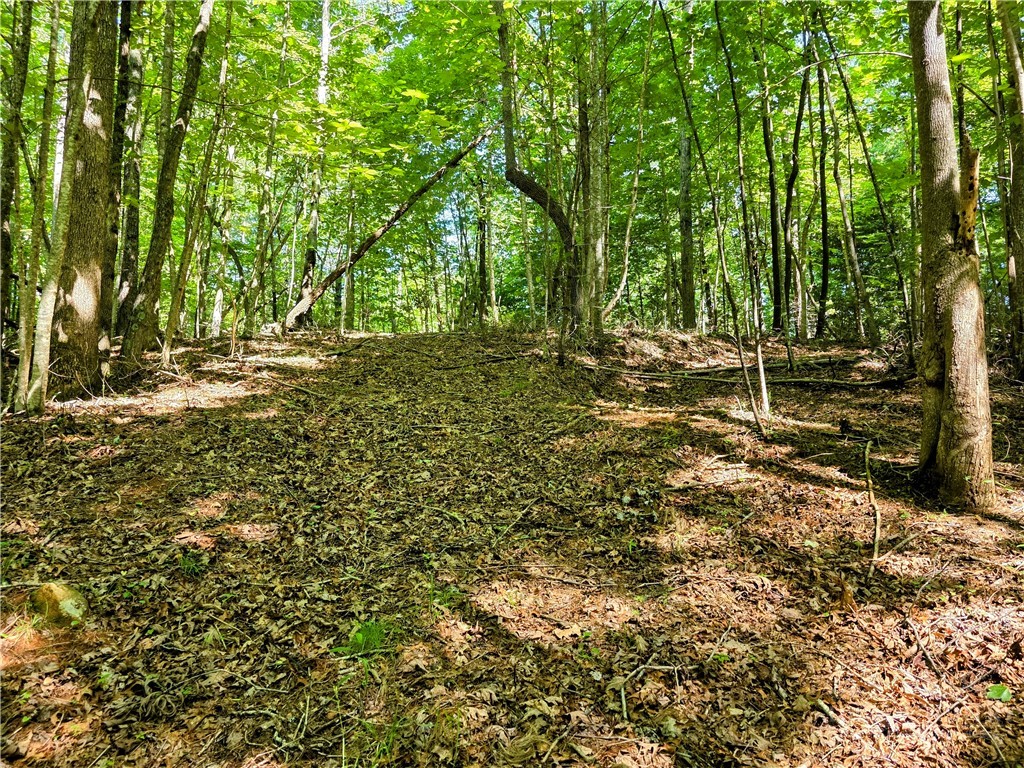 Lot 2b Brightwood Trail Property Photo 1