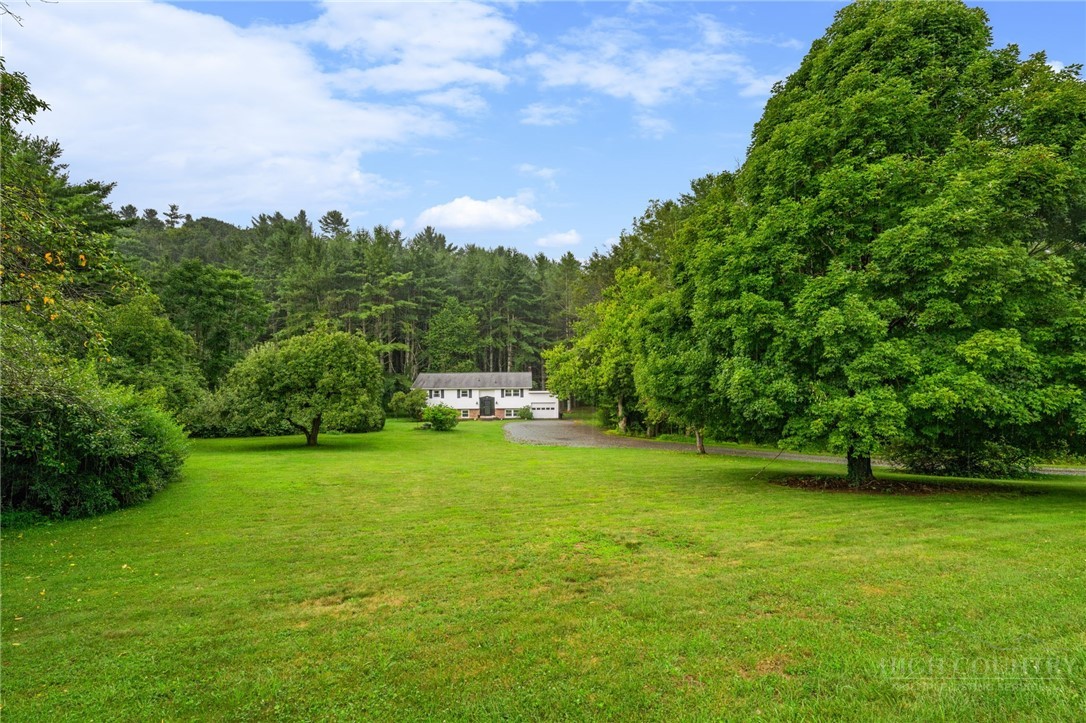410 Don Hayes Road Property Photo 1
