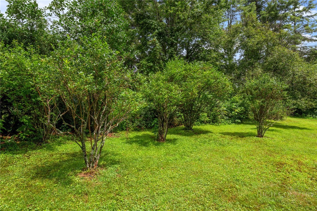 410 Don Hayes Road Property Photo 47