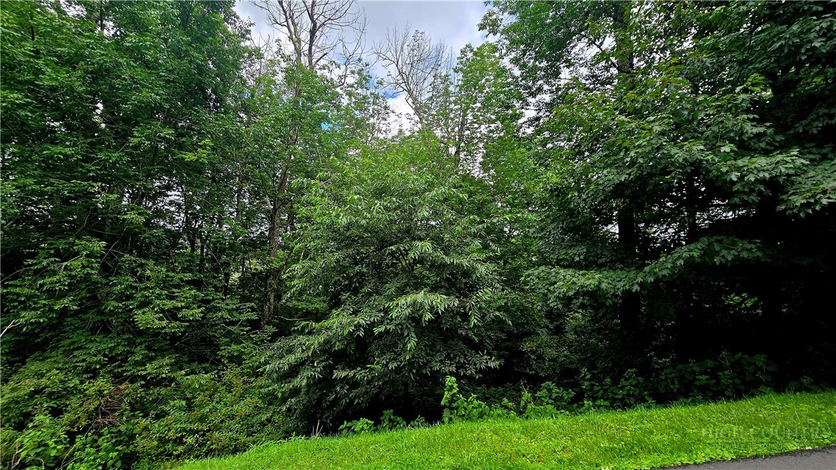 Lot 6 Boone Ridge Lane Property Photo 1