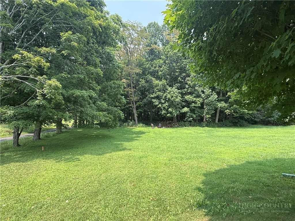 Tbd Old Virginia Road Property Photo 1