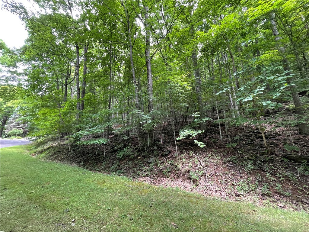 Tbd Iron Wood Road Property Photo 2