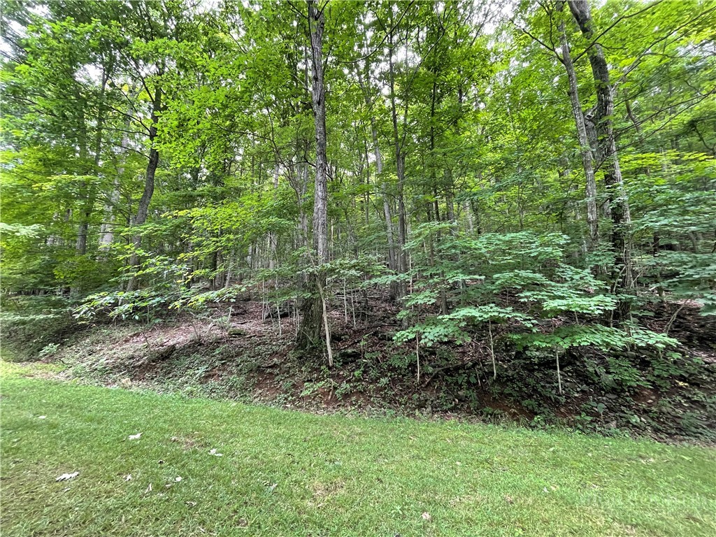 Tbd Iron Wood Road Property Photo 3