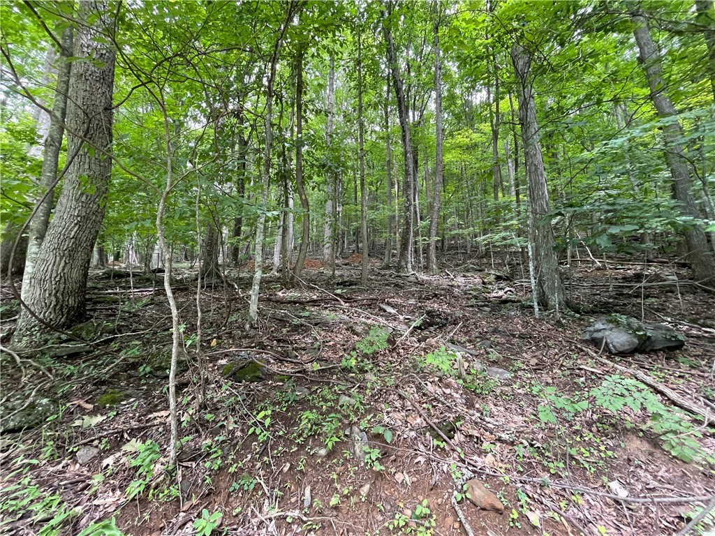 Tbd Iron Wood Road Property Photo 4