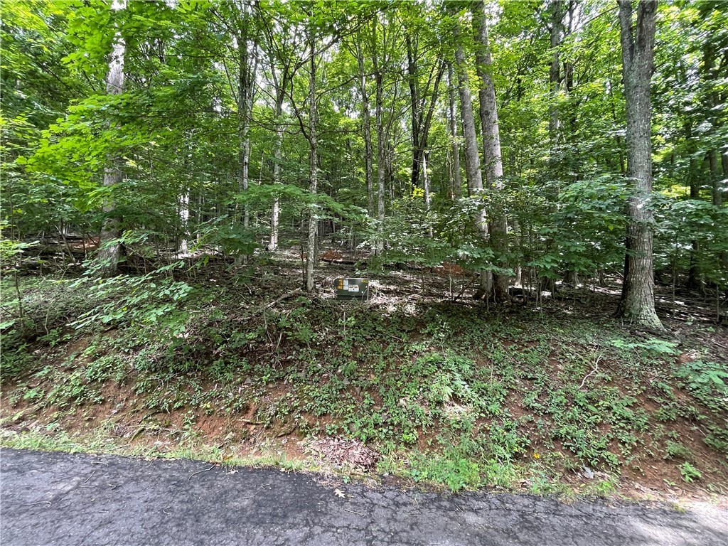 Tbd Iron Wood Road Property Photo 5