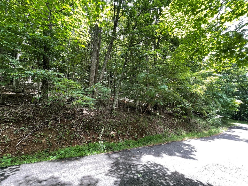 Tbd Iron Wood Road Property Photo 6