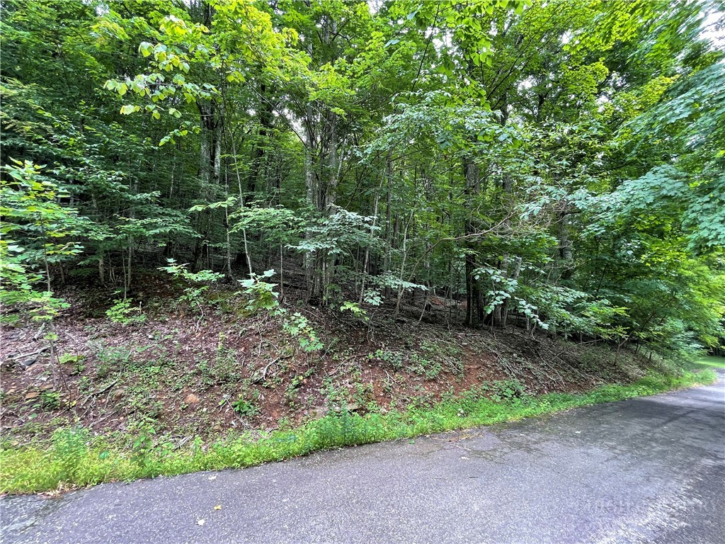 Tbd Iron Wood Road Property Photo 7