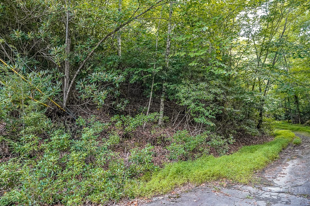 101 Chipmunk Lane Property Photo 1