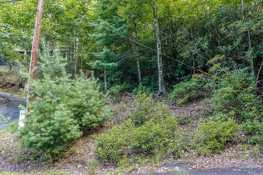 101 Chipmunk Lane Property Photo 3