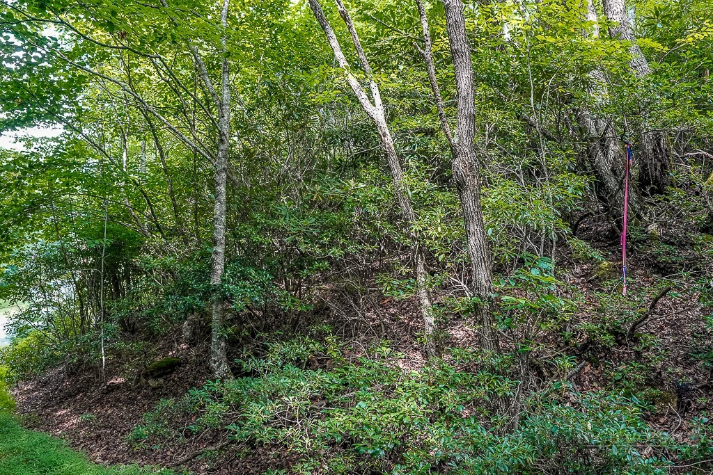 101 Chipmunk Lane Property Photo 4
