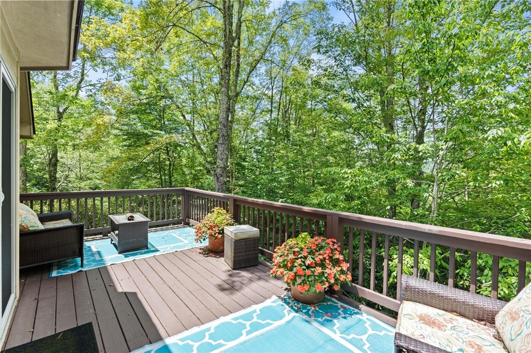 187 Cinnamon Fern Lane Property Photo 22