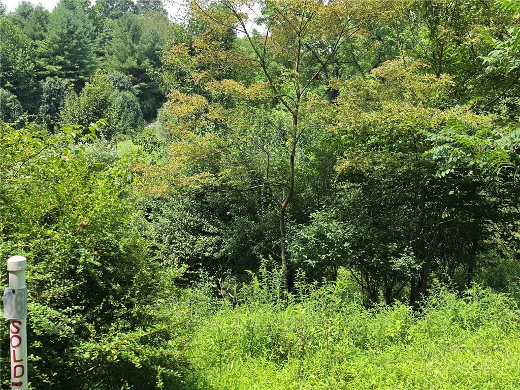 Tbd Lot 36 Georgina Way Property Photo 1