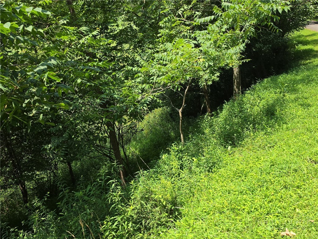 Tbd Lot 36 Georgina Way Property Photo 2