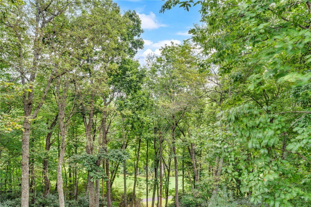 368 Green Hill Woods Property Photo 20