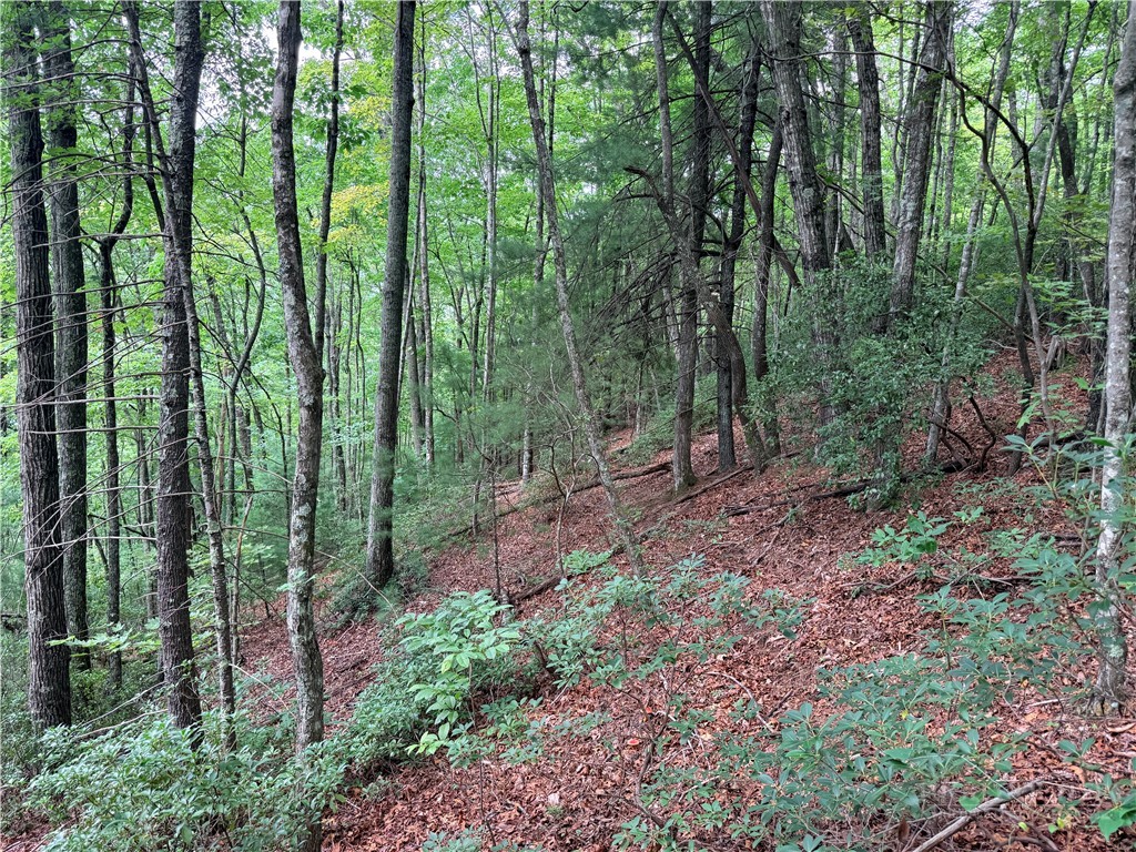 Tbd Little Rock Canyon Road Property Photo 6