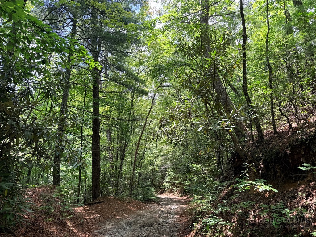 Tbd Little Rock Canyon Road Property Photo 8