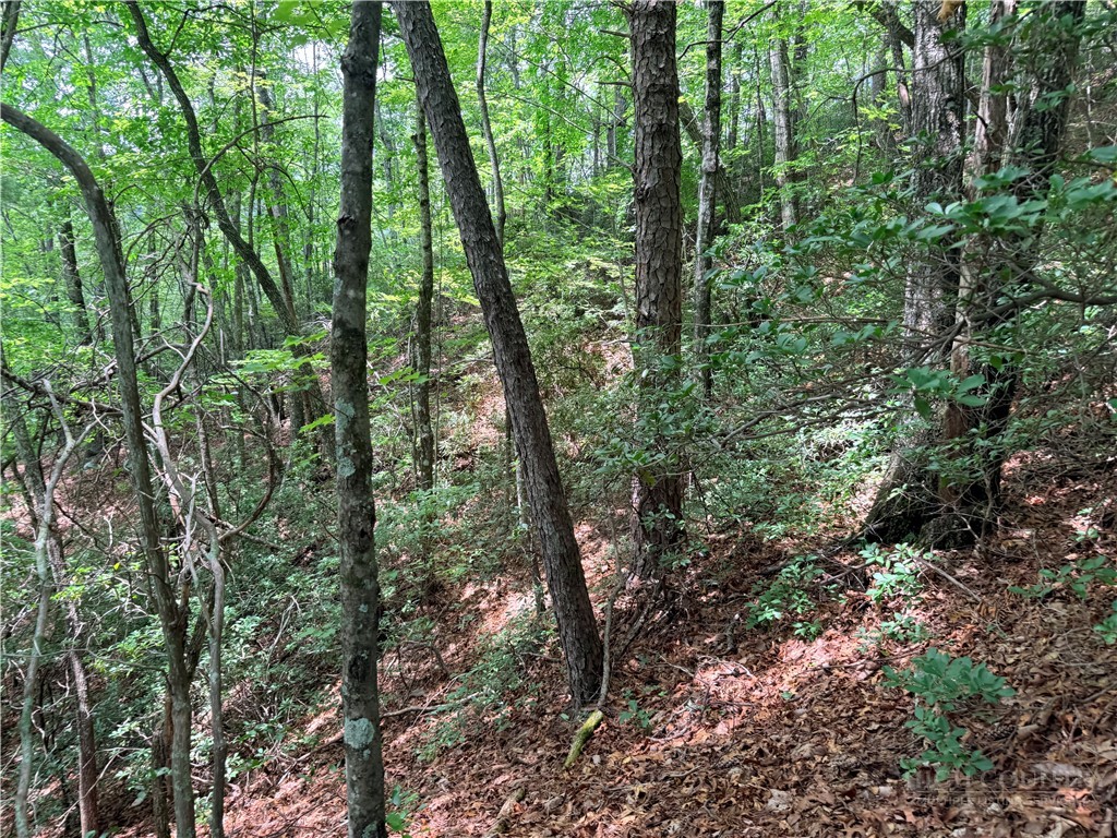 Tbd Little Rock Canyon Road Property Photo 10