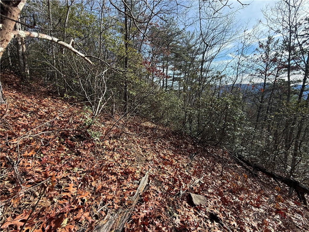 Tbd Little Rock Canyon Road Property Photo 19