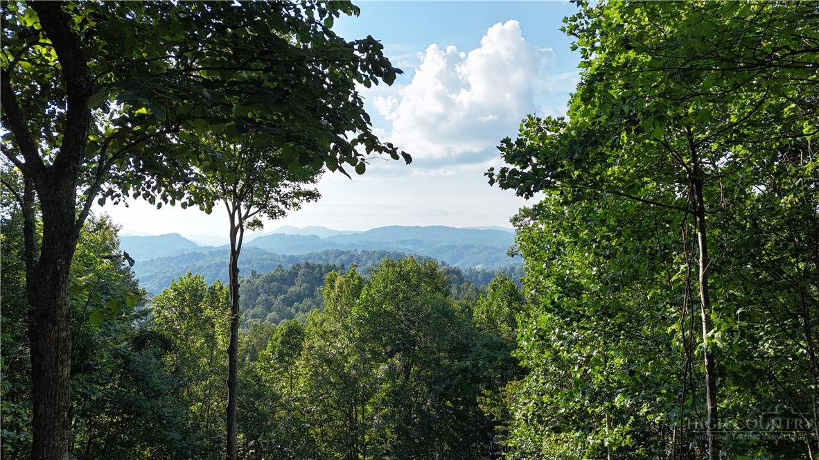 Lot 25 Forest Oaks Drive Property Photo 1