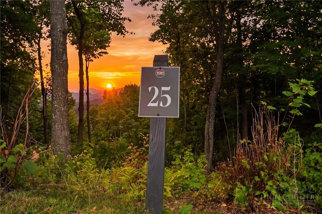 Lot 25 Forest Oaks Drive Property Photo 1