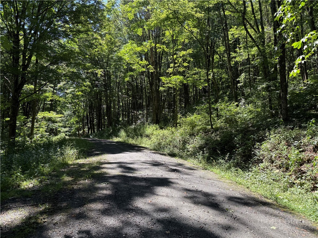 7 Wolfsbane Lane Property Photo 1
